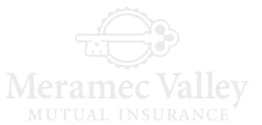 Meramec Valley Logo_wh